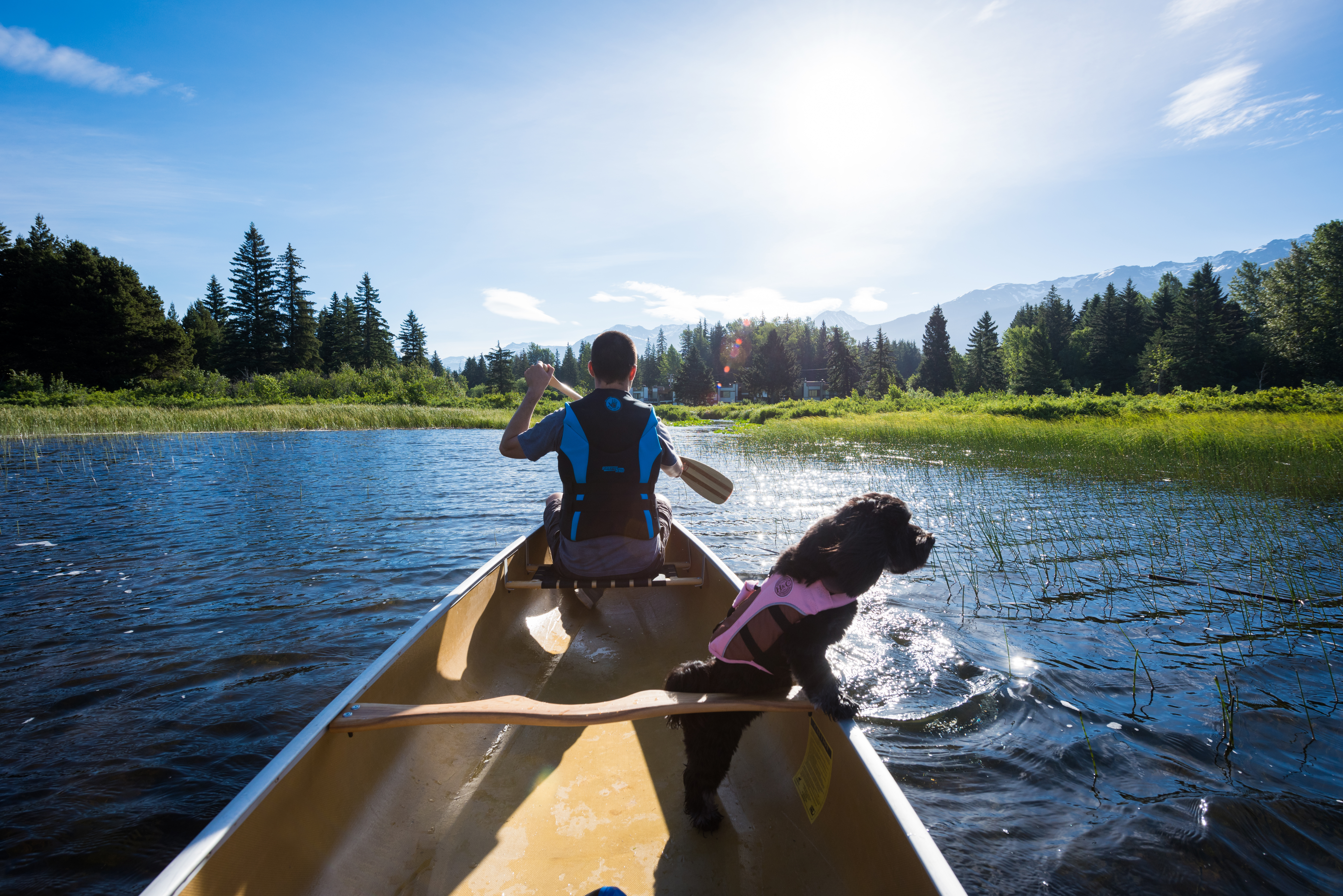 Whistler in the summer: man in a Canadian canoe on a lake with dog.