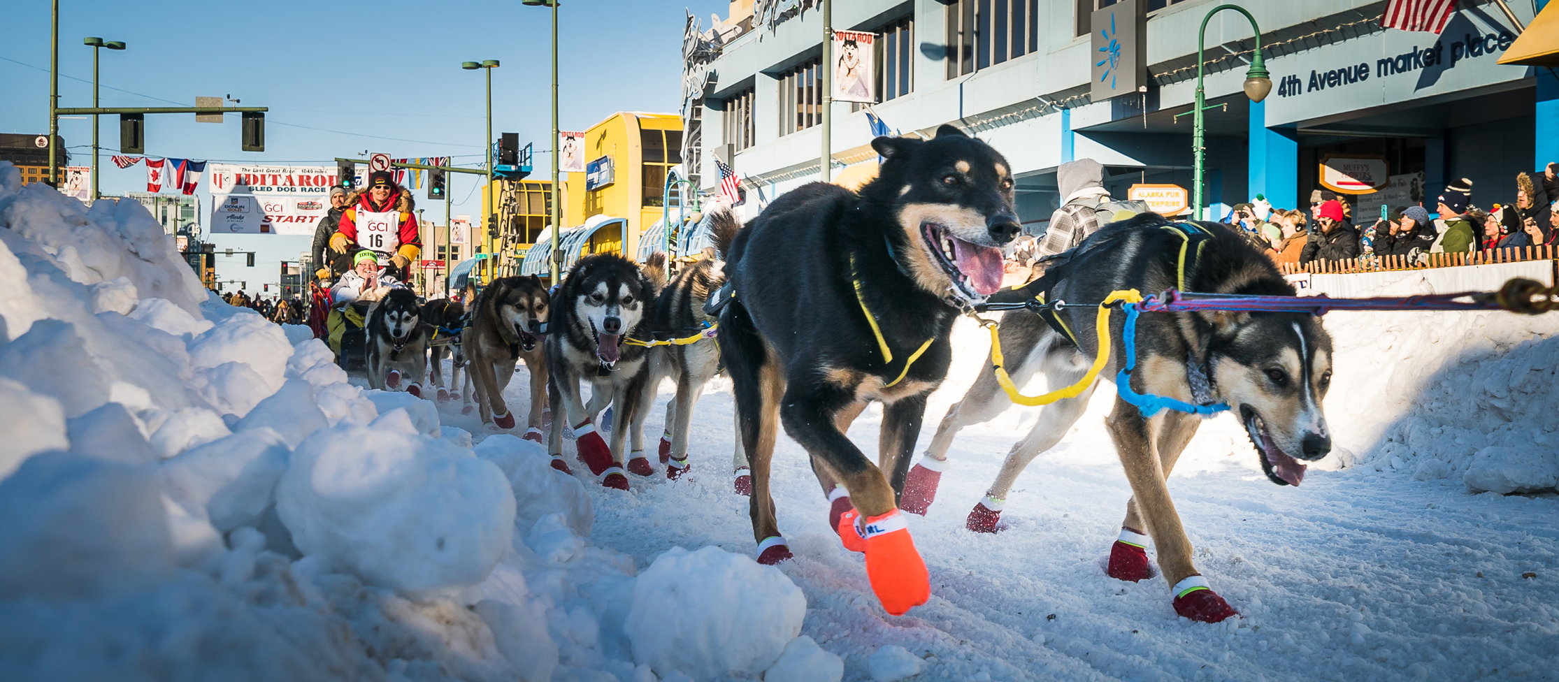 The best time to travel to Alaska: the Iditarod dog sled race in Alaska.