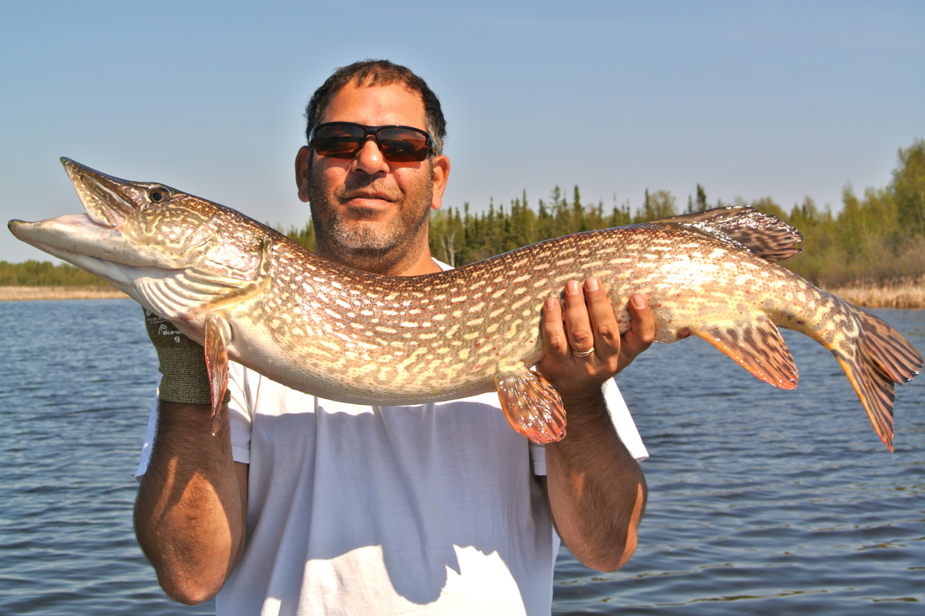 Man with prize monster pike fish
