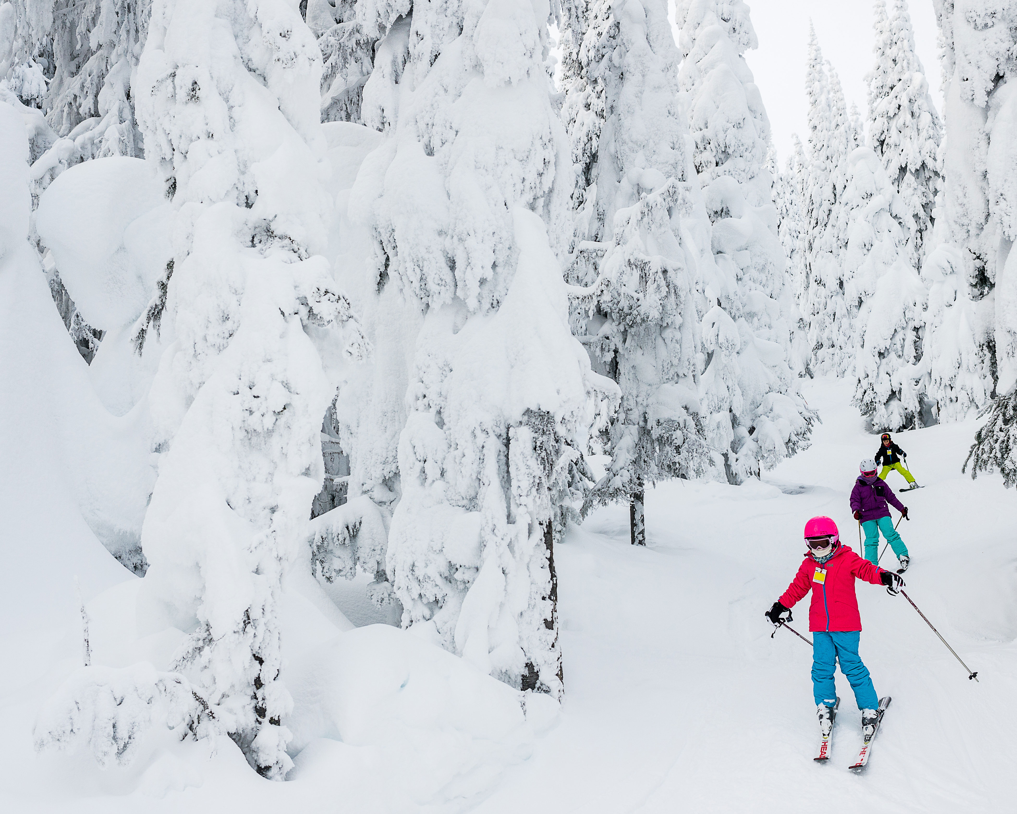 Whistler Skiing Vacations: Young skiers skiing a gladed run.