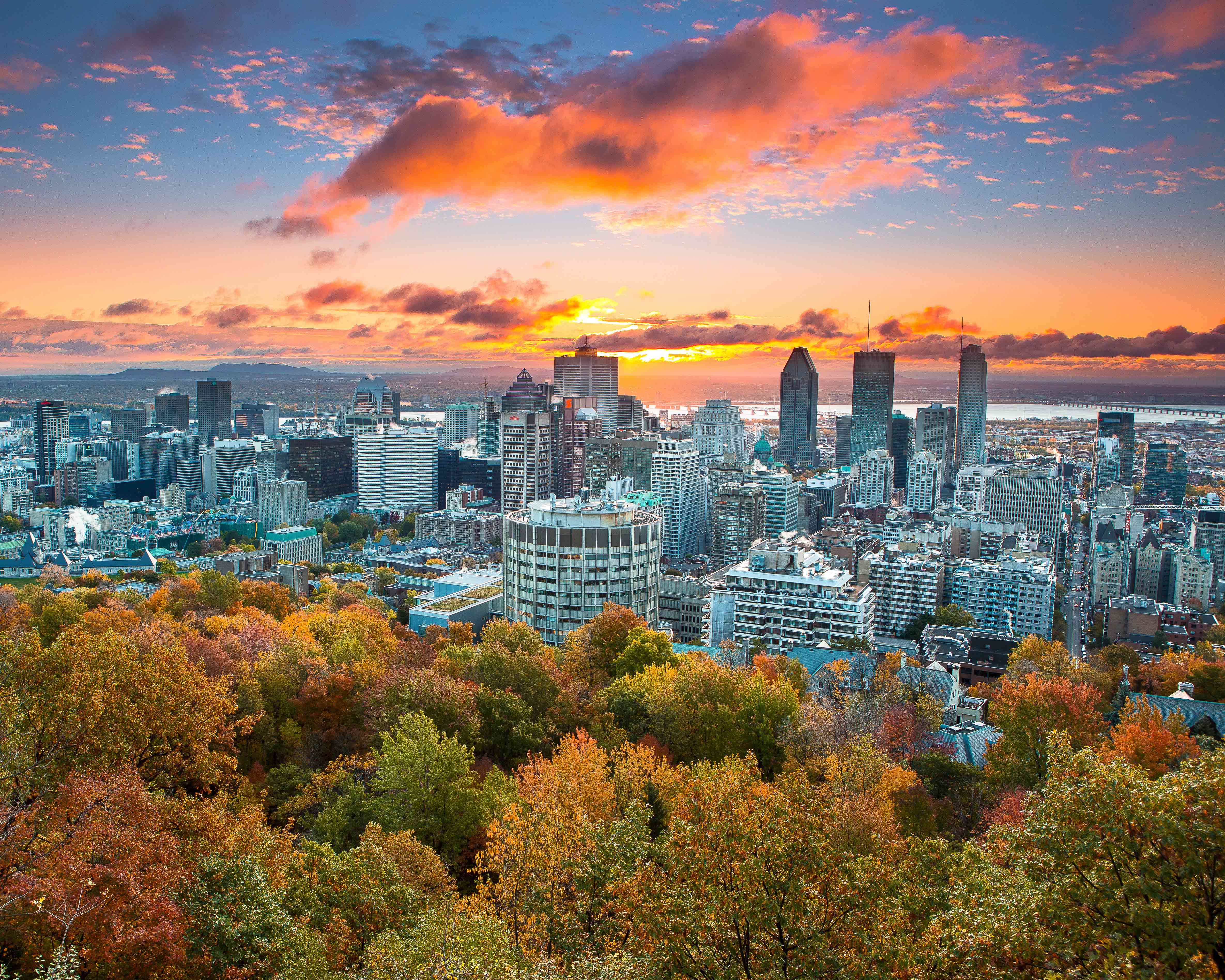 Best Area To Stay In Montreal - ujakw43