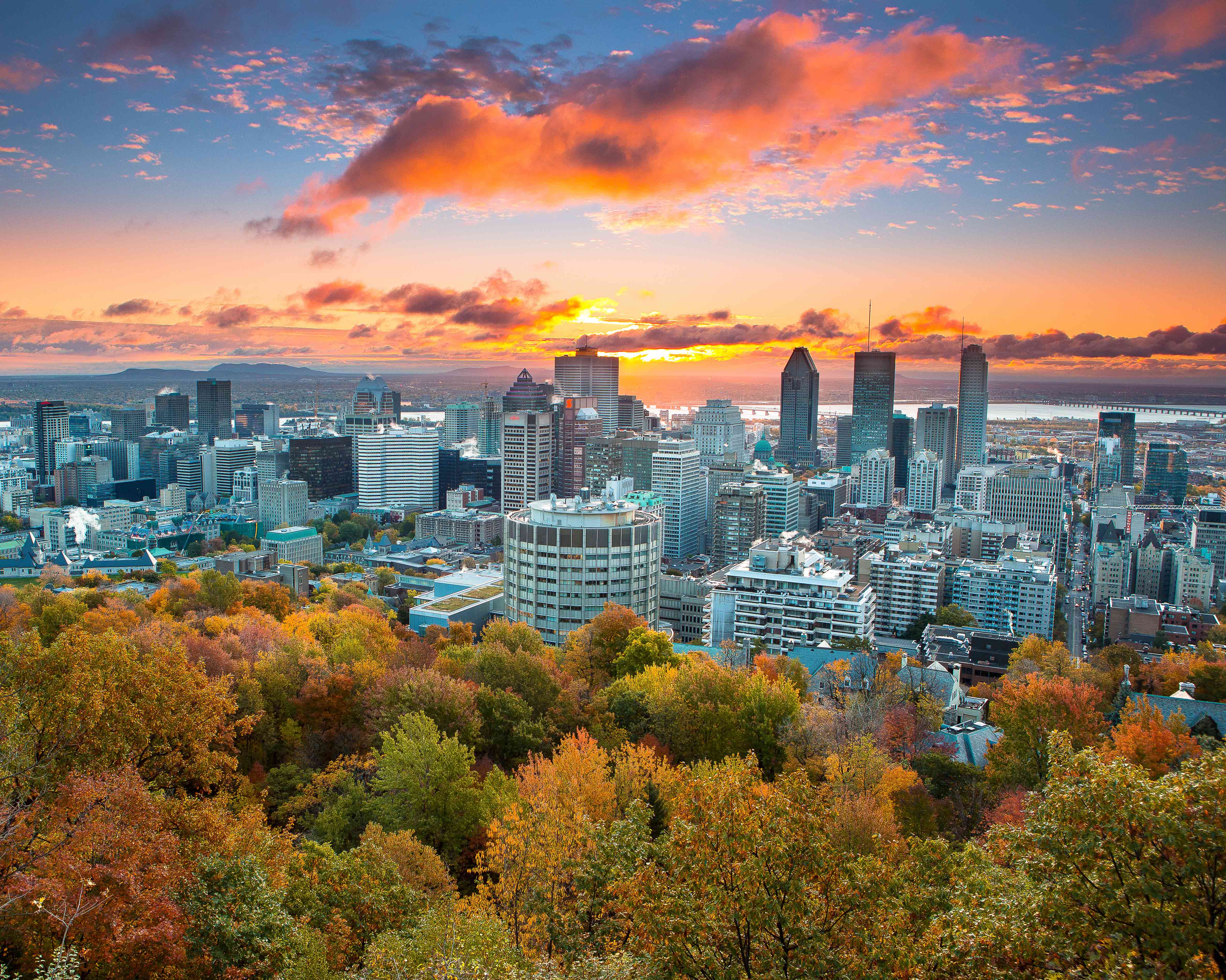Montreal Travel Guide: Autumnal leaves and the sun setting over Montreal.