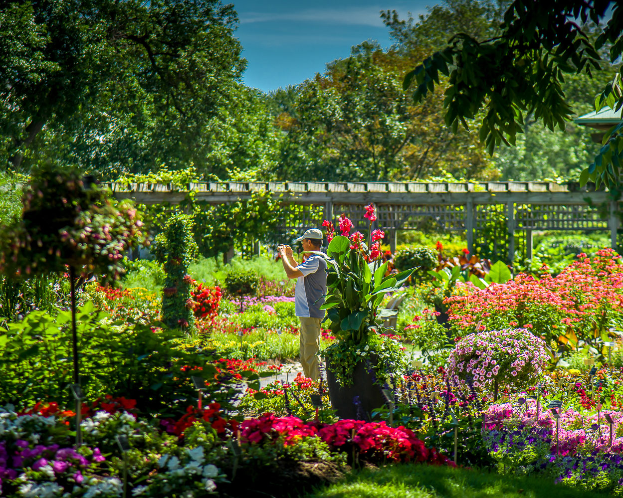 Montreal Travel Guide: man taking photos in a blooming garden.