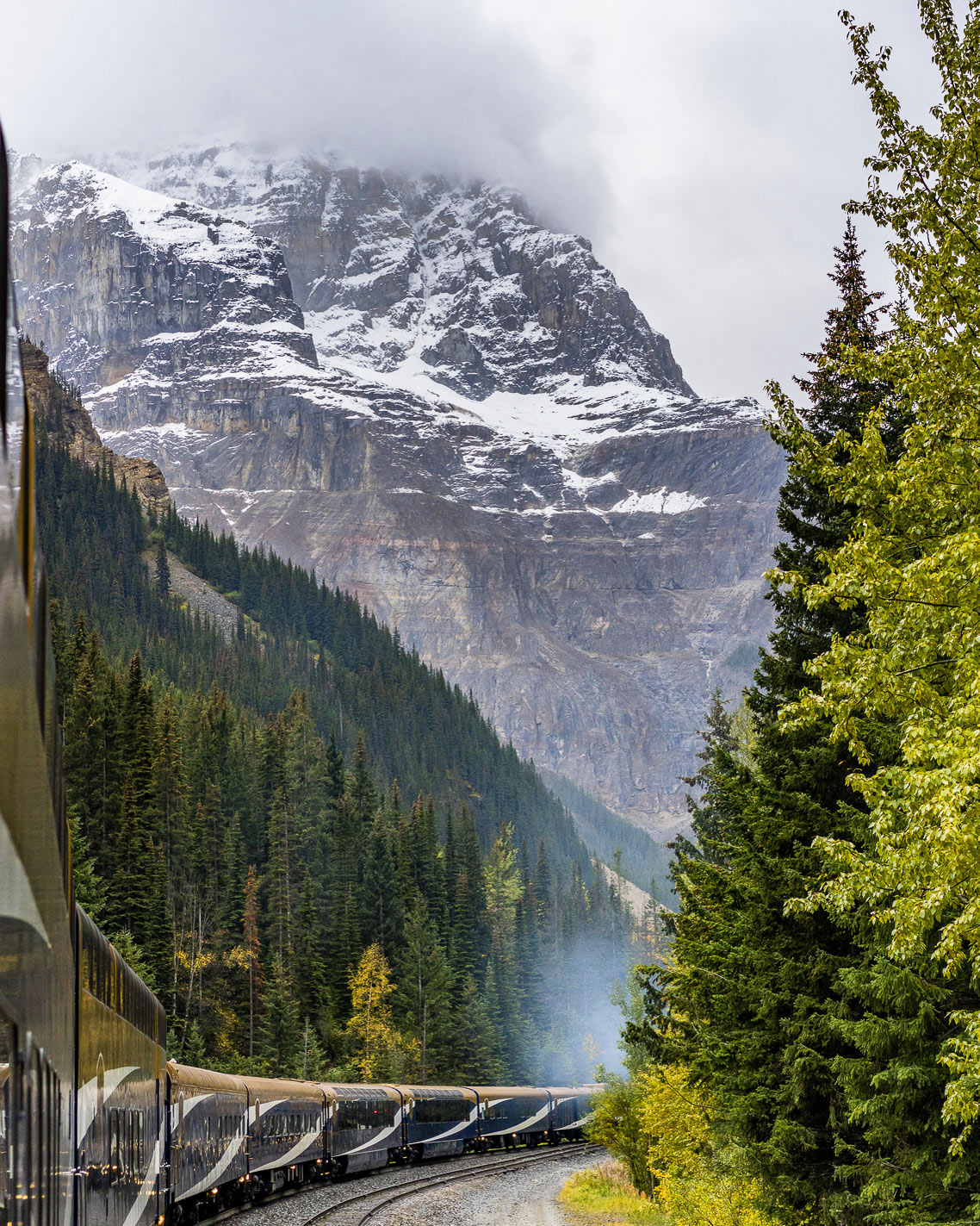 High-end train travel: Train going through mountains and forests.