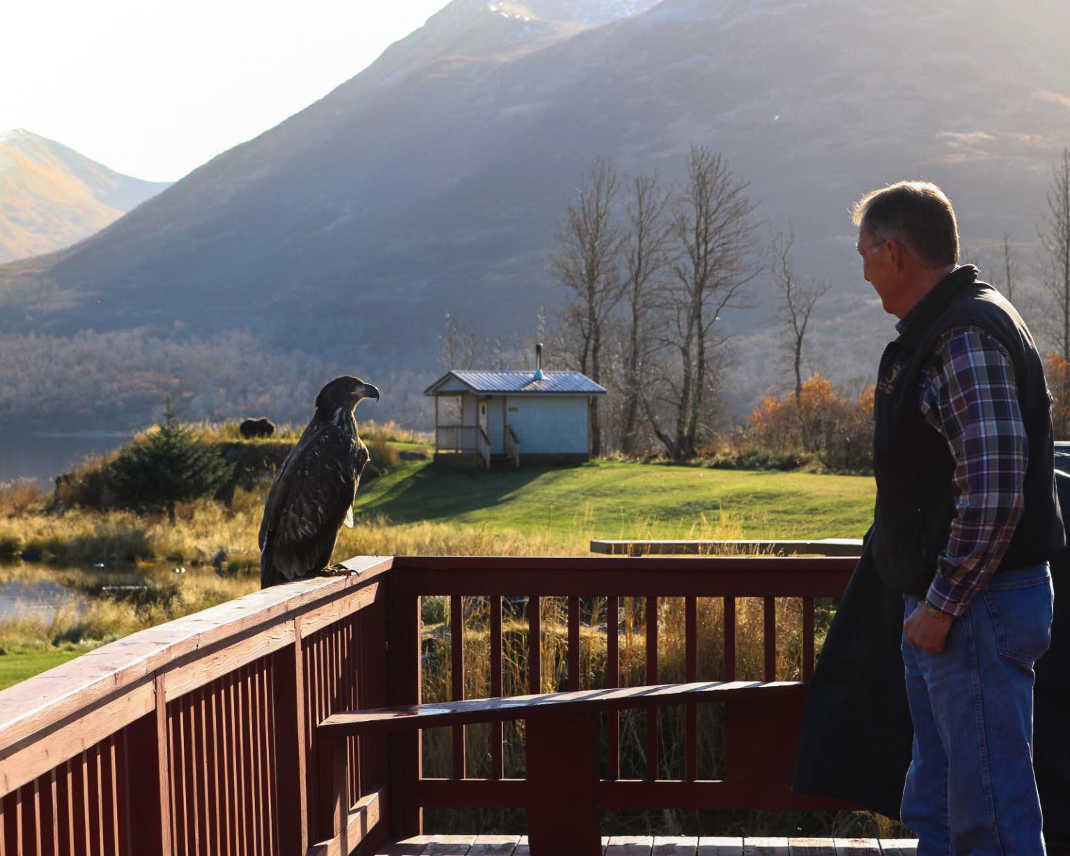 Bear Watching on Kodiak Island Viewing the World’s Largest Omnivore