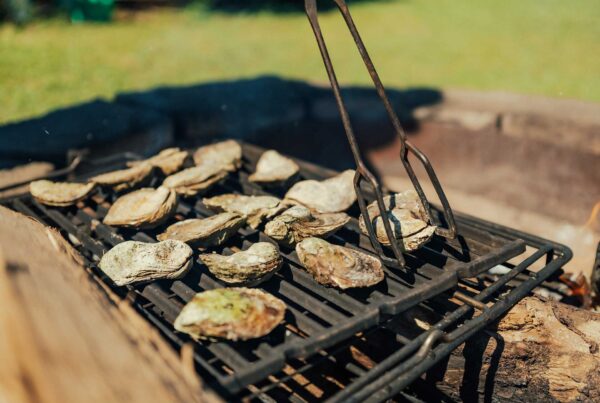 PEI-oysters-photo-by-Entree-Destinations