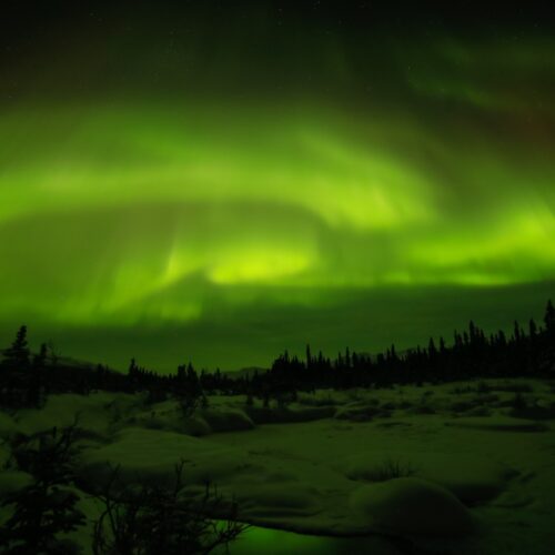 Alaska Aurora Borealis Experience