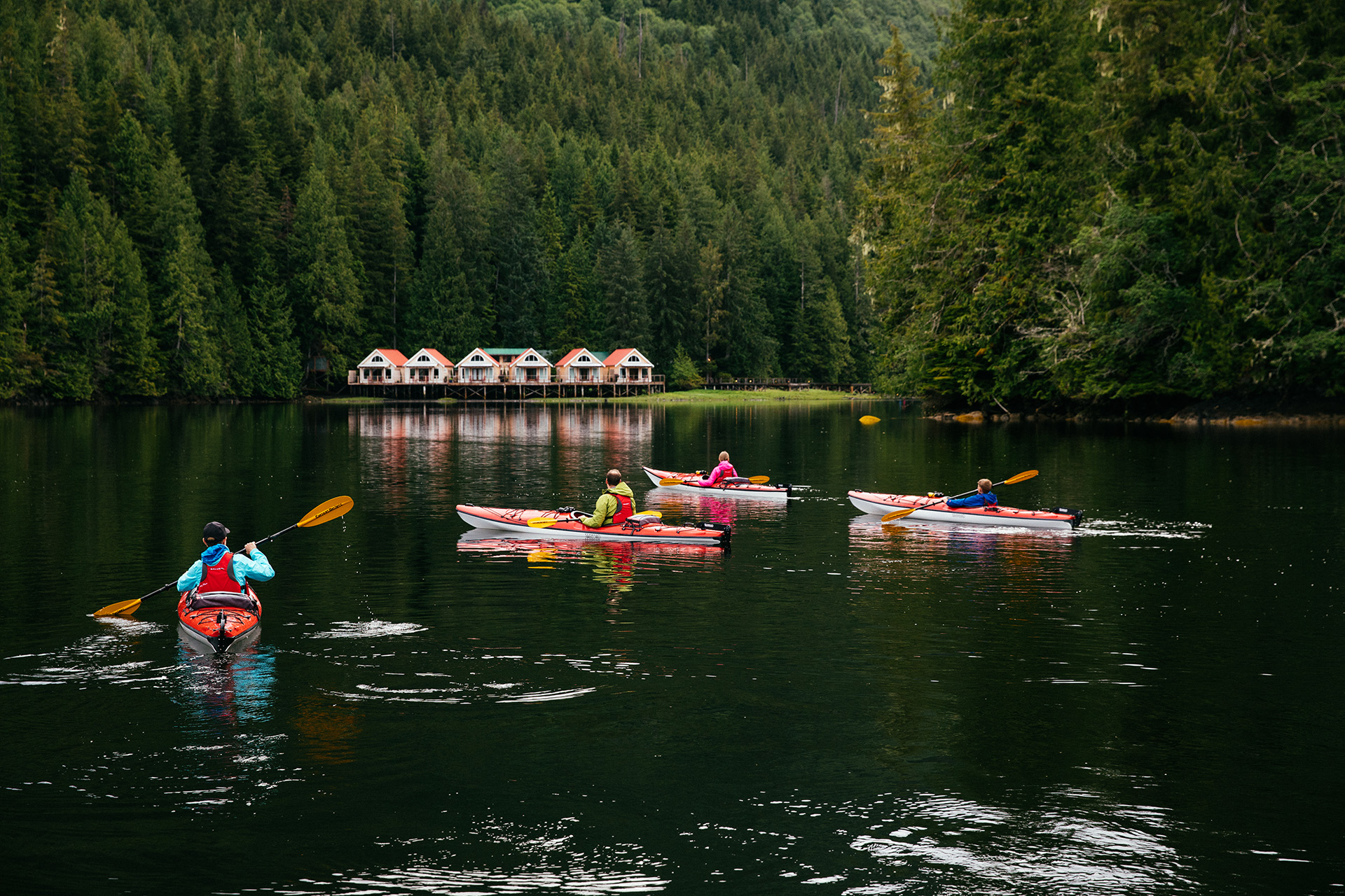 Hidden Paradise in the Great Bear Rainforest